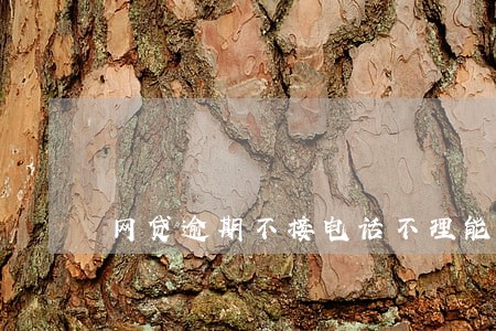 网贷逾期不接电话不理能上门吗