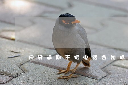 网贷逾期不接电话会如何 网贷逾期不接电话会如何