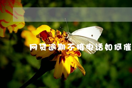 网贷逾期不接电话如何催收 网贷逾期不接电话如何催收