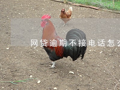 网贷逾期不接电话怎么办 网贷逾期不接电话怎么办