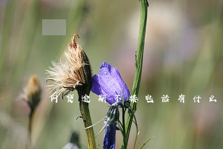 网贷逾期不接电话有什么后果 网贷逾期不接电话有什么后果