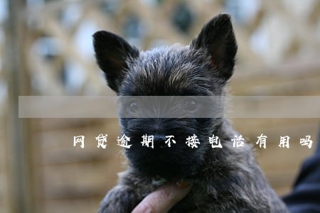 网贷逾期不接电话有用吗 网贷逾期不接电话有用吗