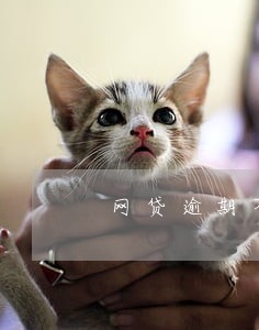 网贷逾期不接电话违法吗 网贷逾期不接电话违法吗