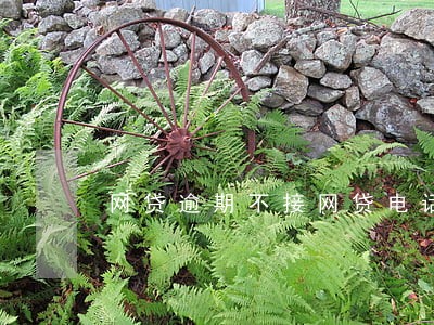 网贷逾期不接网贷电话 网贷逾期不接网贷电话