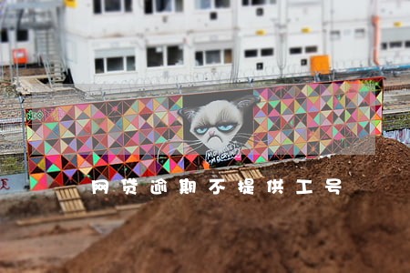 网贷逾期不提供工号 网贷逾期不提供工号