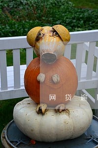 网贷逾期不提示 网贷逾期不提示