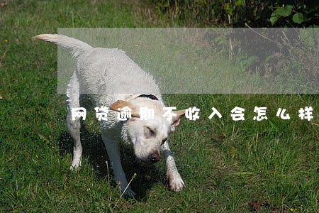 网贷逾期不收入会怎么样 网贷逾期不收入会怎么样