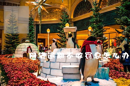 网贷逾期不收罚息怎么办 网贷逾期不收罚息怎么办