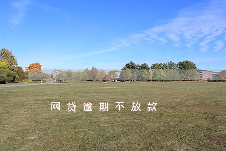 网贷逾期不放款 网贷逾期不放款
