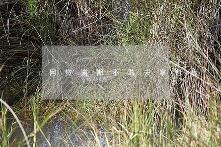 网贷逾期不敢去拿包裹 网贷逾期不敢去拿包裹