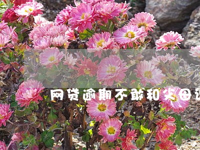 网贷逾期不敢和父母说 网贷逾期不敢和父母说