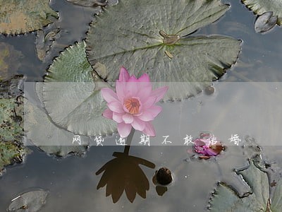 网贷逾期不敢结婚 网贷逾期不敢结婚