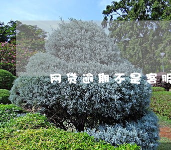 网贷逾期不是客服电话到底接不接 网贷逾期不是客服电话到底接不接