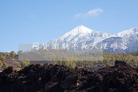 网贷逾期不死天理难容 网贷逾期不死天理难容