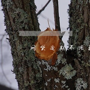 网贷逾期不用担心 网贷逾期不用担心