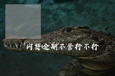 网贷逾期不管行不行