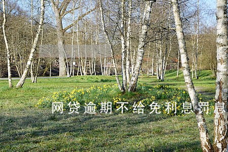 网贷逾期不给免利息罚息 网贷逾期不给免利息罚息