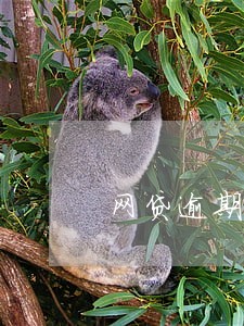 网贷逾期不给立案 网贷逾期不给立案