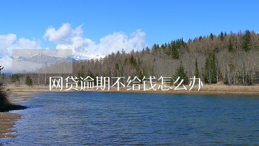 网贷逾期不给钱怎么办