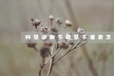 网贷逾期不联系不催款怎么回事 网贷逾期不联系不催款怎么回事