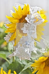 网贷逾期不能一贷养贷 网贷逾期不能一贷养贷