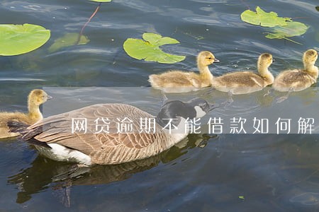 网贷逾期不能借款如何解决 网贷逾期不能借款如何解决