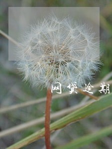 网贷逾期不能分期怎么办 网贷逾期不能分期怎么办