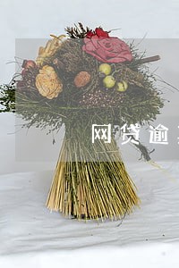 网贷逾期不能贷款买房怎么办 网贷逾期不能贷款买房怎么办