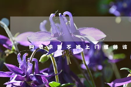 网贷逾期不被上门催账该怎么做