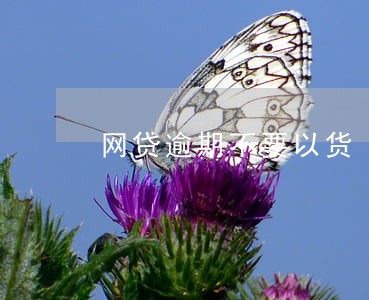 网贷逾期不要以货