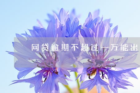 网贷逾期不超过一万能出国吗 网贷逾期不超过一万能出国吗