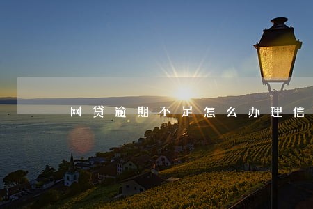 网贷逾期不足怎么办理信用卡 网贷逾期不足怎么办理信用卡