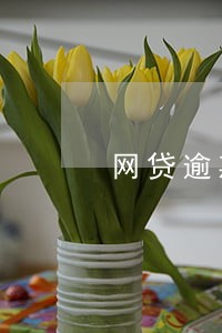 网贷逾期不还3年后会怎样 网贷逾期不还3年后会怎样