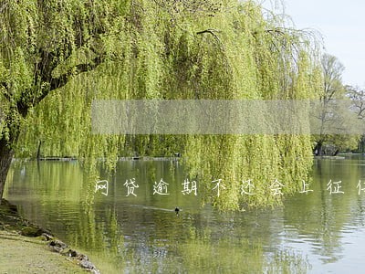 网贷逾期不还会上征信吗 网贷逾期不还会上征信吗