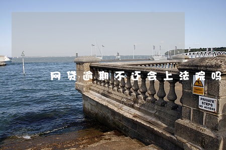 网贷逾期不还会上法院吗 网贷逾期不还会上法院吗