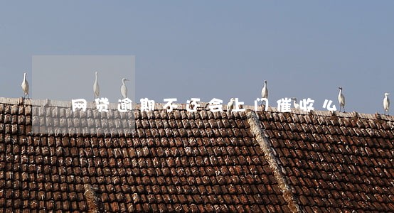 网贷逾期不还会上门催收么 网贷逾期不还会上门催收么