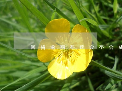 网贷逾期不还会不会成为老赖 网贷逾期不还会不会成为老赖