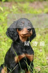 网贷逾期不还会不会连累家人 网贷逾期不还会不会连累家人