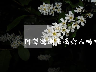 网贷逾期不还会人吗吗 网贷逾期不还会人吗吗