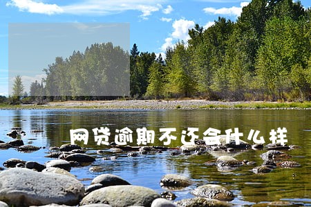 网贷逾期不还会什么样 网贷逾期不还会什么样