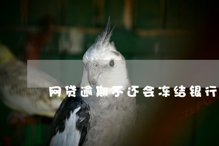 网贷逾期不还会冻结银行卡吗