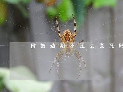 网贷逾期不还会变死账吗 网贷逾期不还会变死账吗