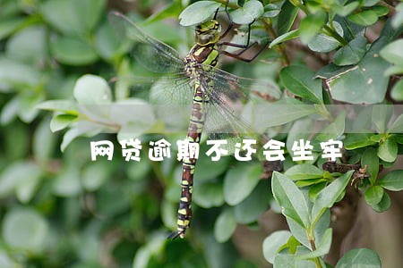 网贷逾期不还会坐牢 网贷逾期不还会坐牢