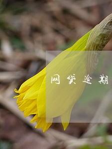 网贷逾期不还会寄信到单位吗 网贷逾期不还会寄信到单位吗