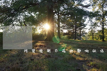 网贷逾期不还会影响征信吗 网贷逾期不还会影响征信吗