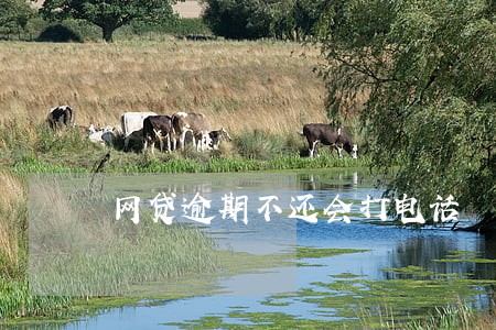 网贷逾期不还会打电话 网贷逾期不还会打电话