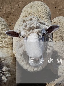 网贷逾期不还会找到家里来
