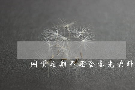 网贷逾期不还会曝光资料吗 网贷逾期不还会曝光资料吗