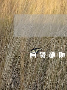 网贷逾期不还会有信息提示吗 网贷逾期不还会有信息提示吗