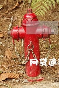 网贷逾期不还会罚多少钱 网贷逾期不还会罚多少钱